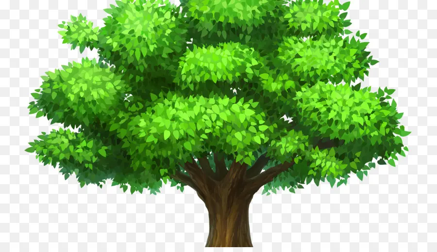 árbol，Fondo De Escritorio PNG