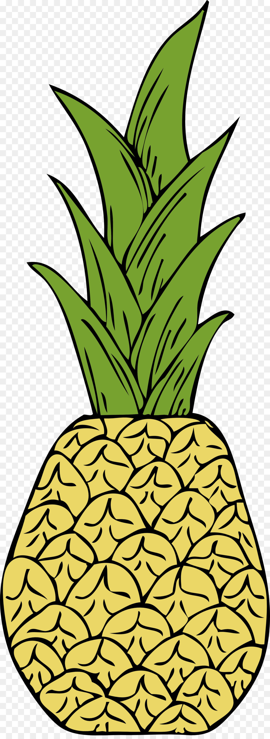 Piña，Tropical PNG