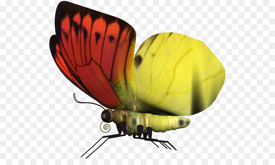 Mariposa，Tutorial PNG