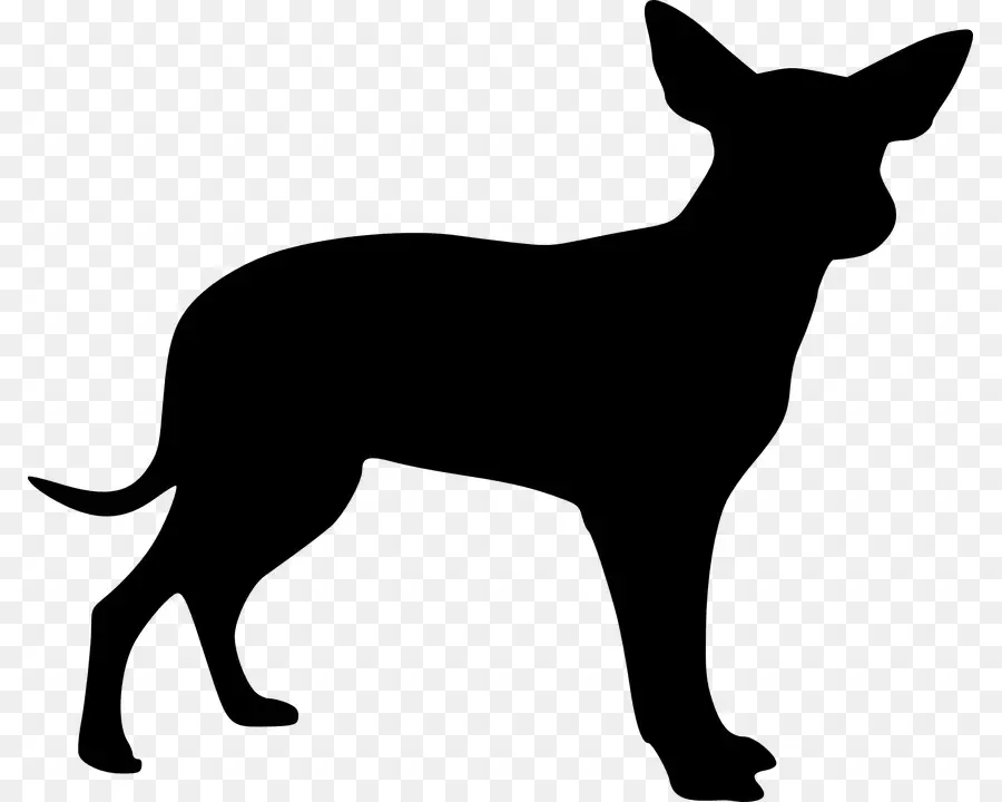 Perro Sin Pelo Mexicano，Chihuahua PNG