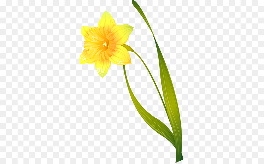 Narcisos Amarillos，Primavera PNG