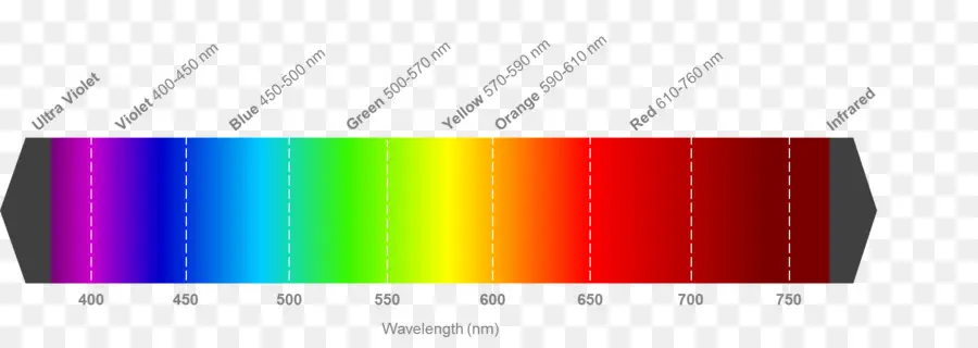 Luz，Espectro Visible PNG