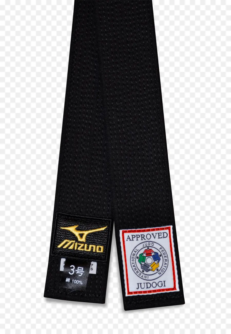 Cinturón Negro，Clasificación En Judo PNG
