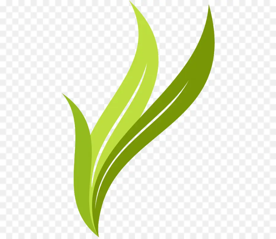 Hoja，Logo PNG