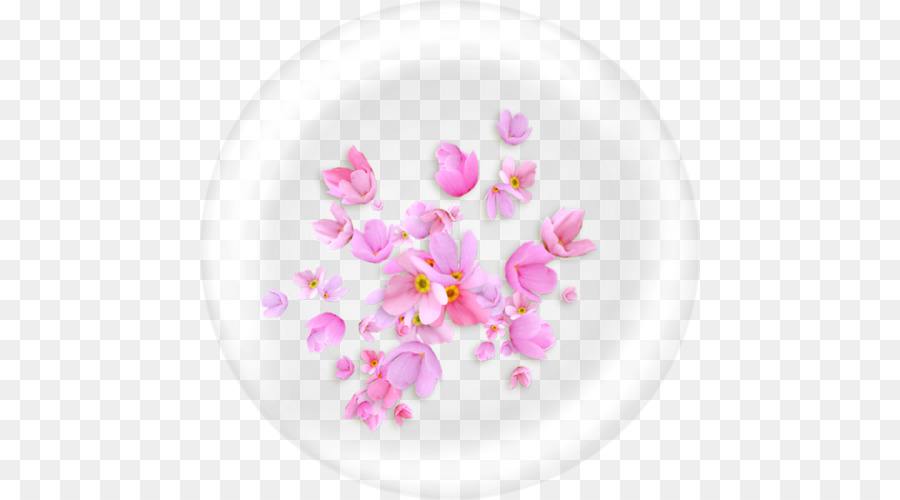 Flor，Descargar PNG