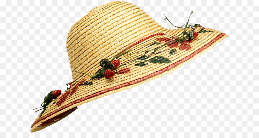 Sombrero，Arnés PNG