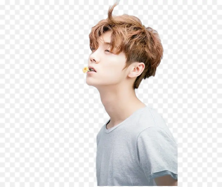 Lu Han，Exo PNG