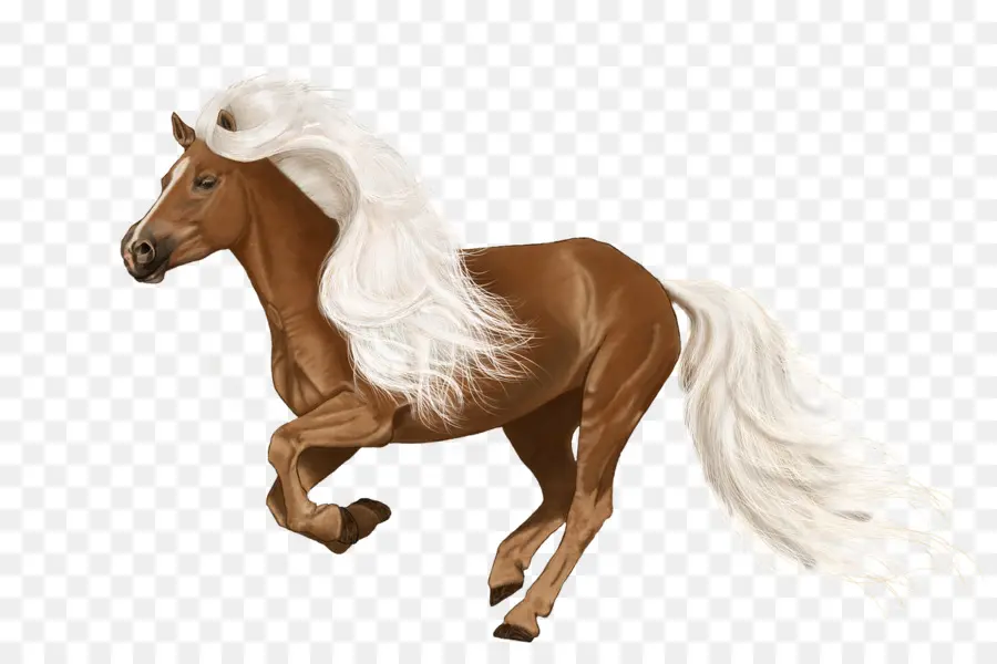 Caballo Marrón，Equino PNG