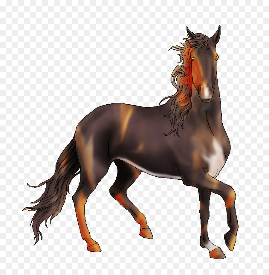 Caballo，Equino PNG