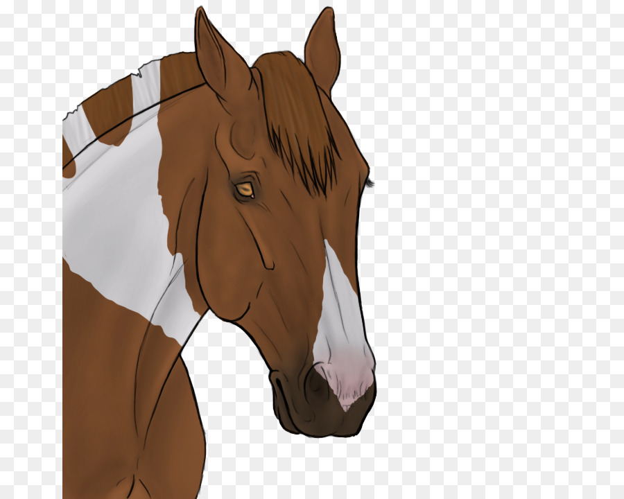 Caballo De Dibujos Animados，Caballo PNG