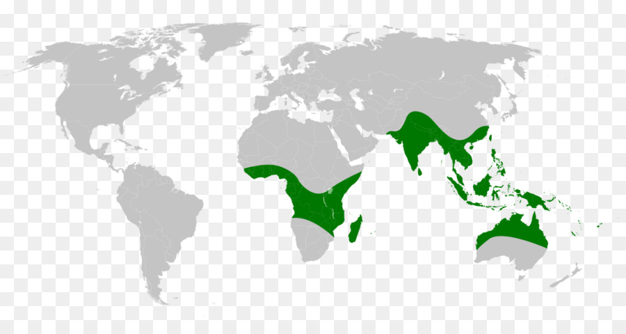 ámbito Biogeográfico，Indomalayan Reino PNG