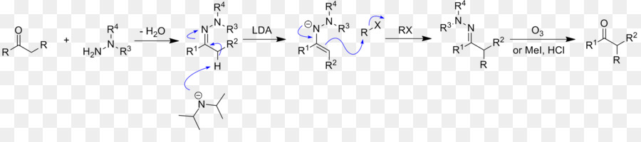Hydrazone，Enders Sampramp Hydrazonealkylation Reacción PNG