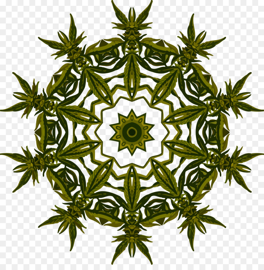 Planta，La Naturaleza PNG