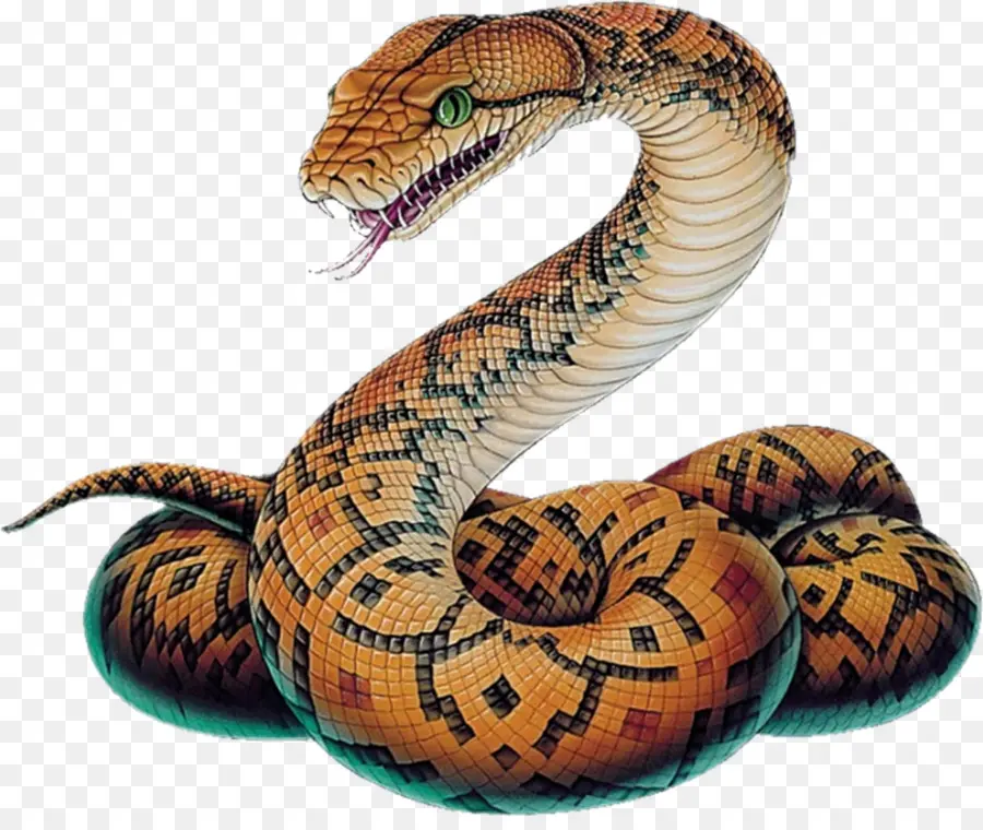 La Serpiente，Víboras PNG