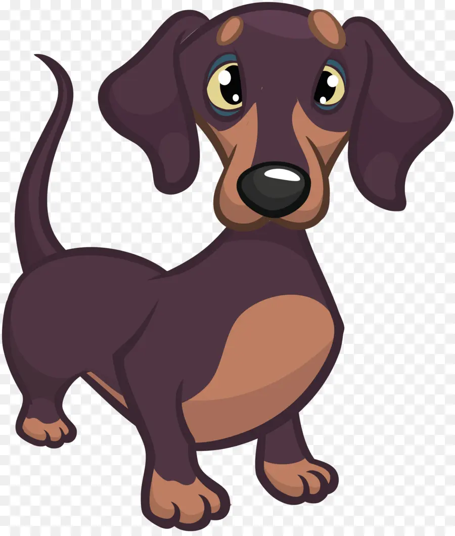 Dachshund，Cachorro PNG