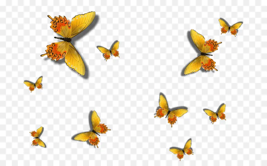 Mariposas，Insectos PNG