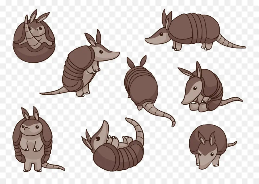 Armadillo，De Dibujos Animados PNG