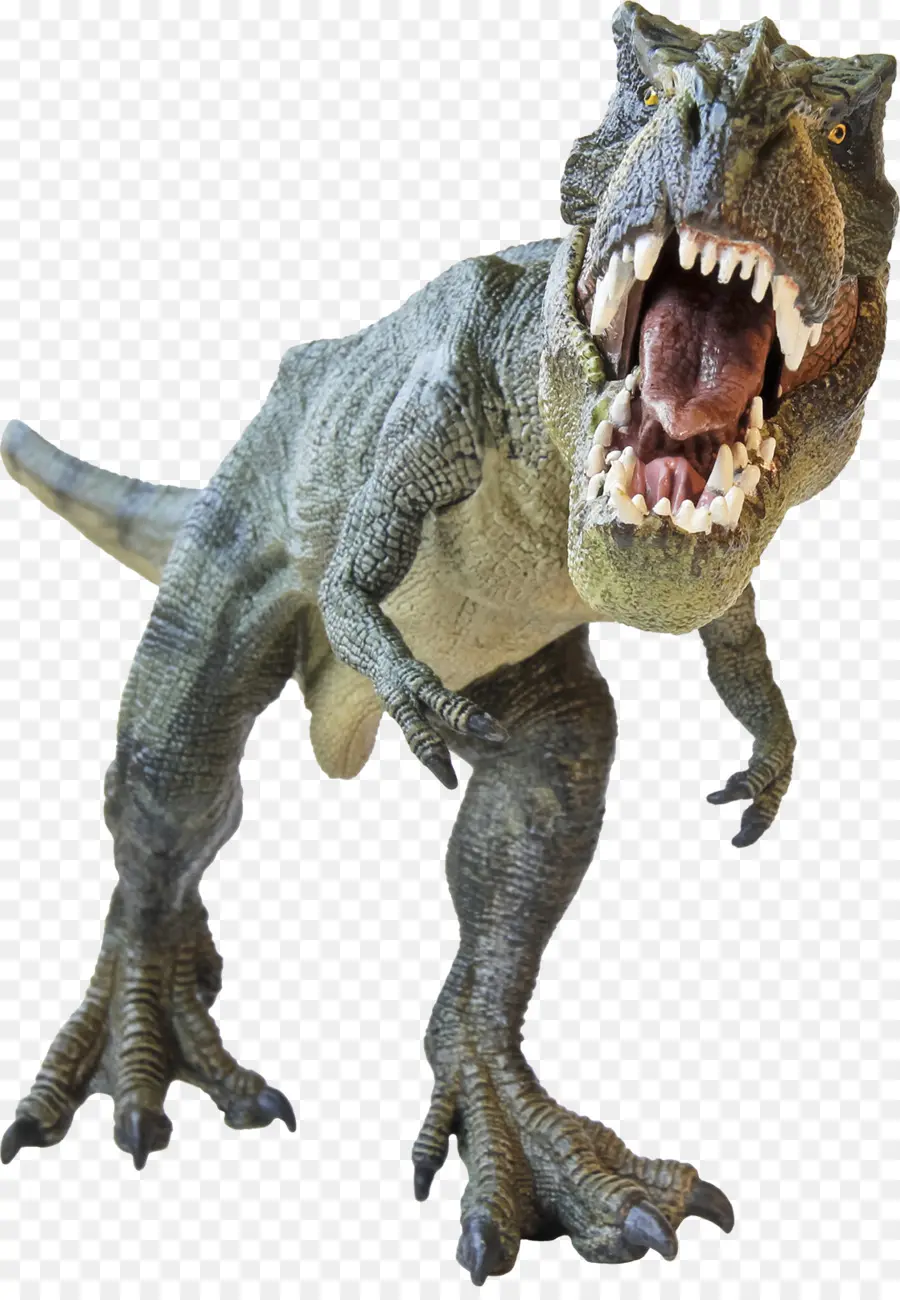 Argentinosaurio，Dinosaurio PNG