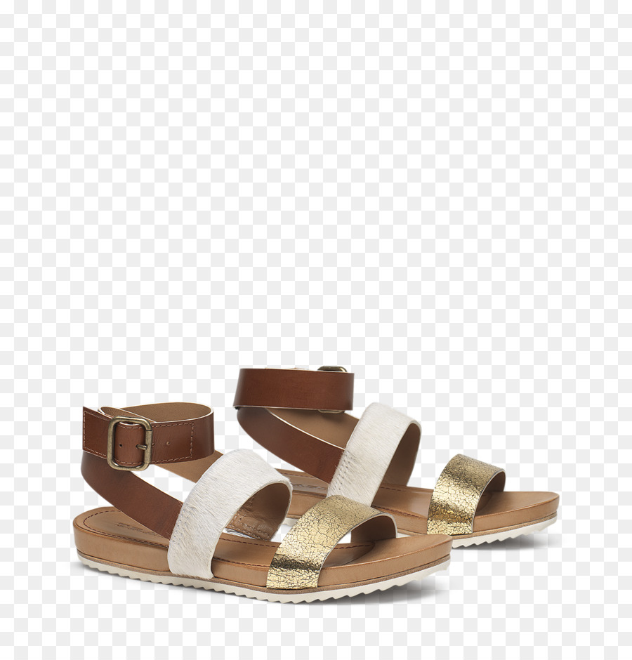 Sandalia，Zapato PNG