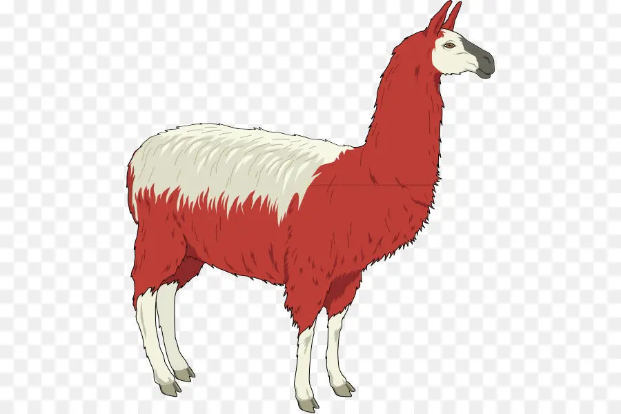 Llama，Pelo PNG