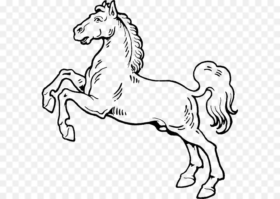 Contorno Del Caballo，Dibujo PNG