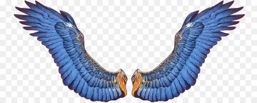 Alas Azules，Plumas PNG