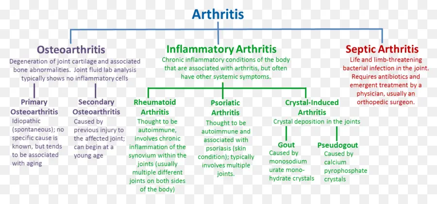 Artritis，Osteoartritis PNG