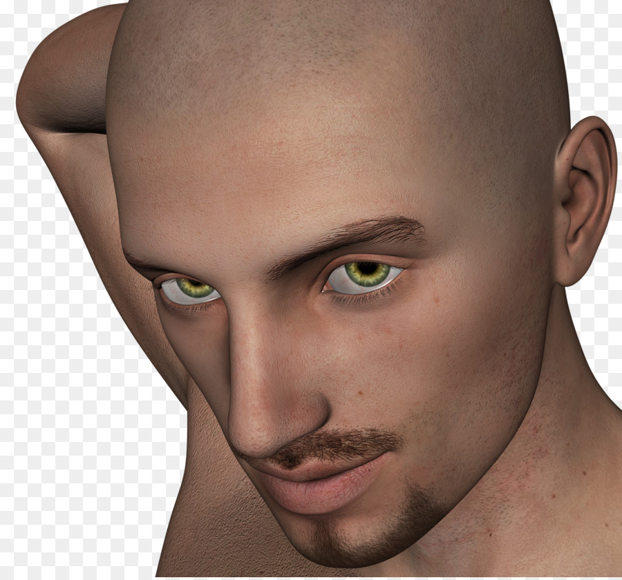 La Cabeza，El Vello Facial PNG