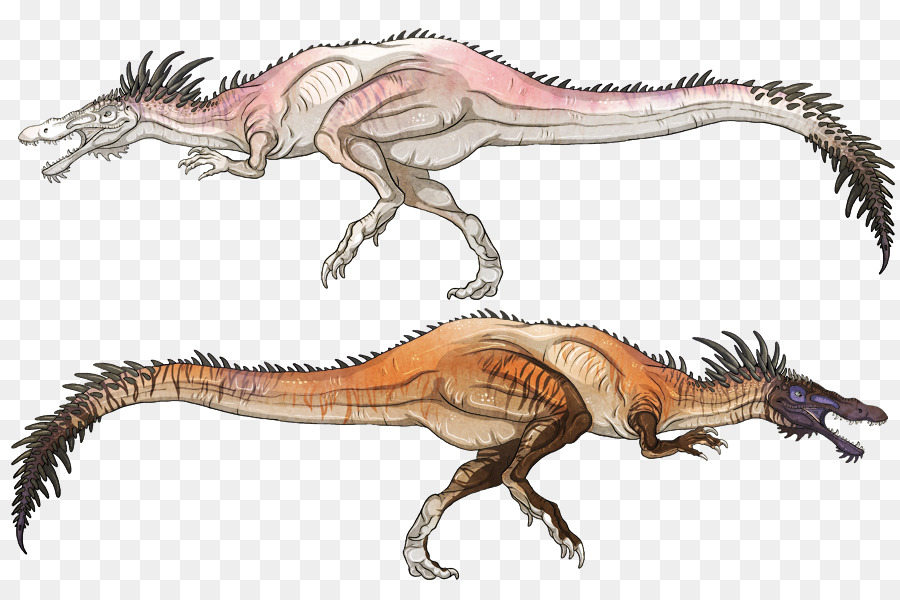 Tyrannosaurus，Dinosaurio PNG