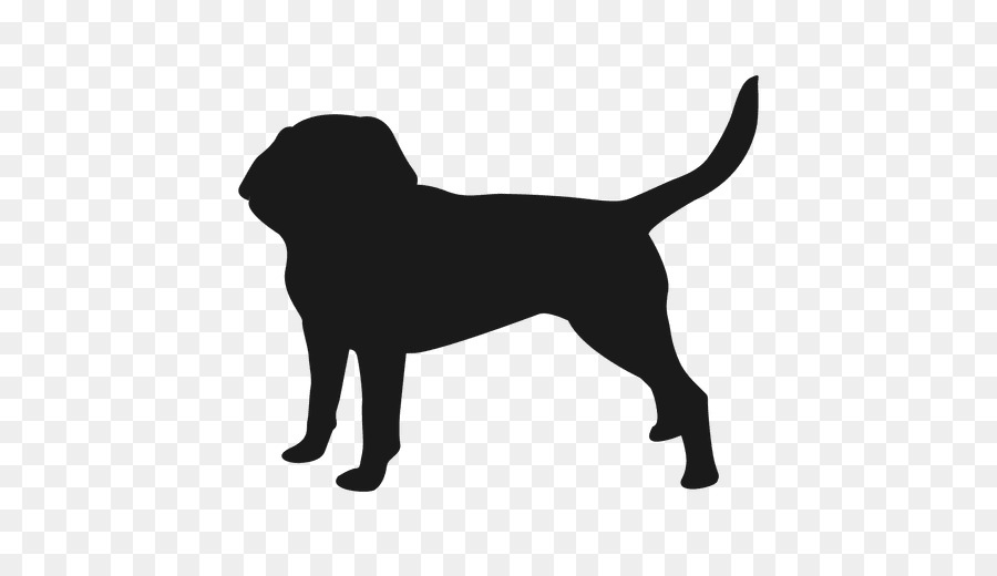 Cachorro，Labrador Retriever PNG