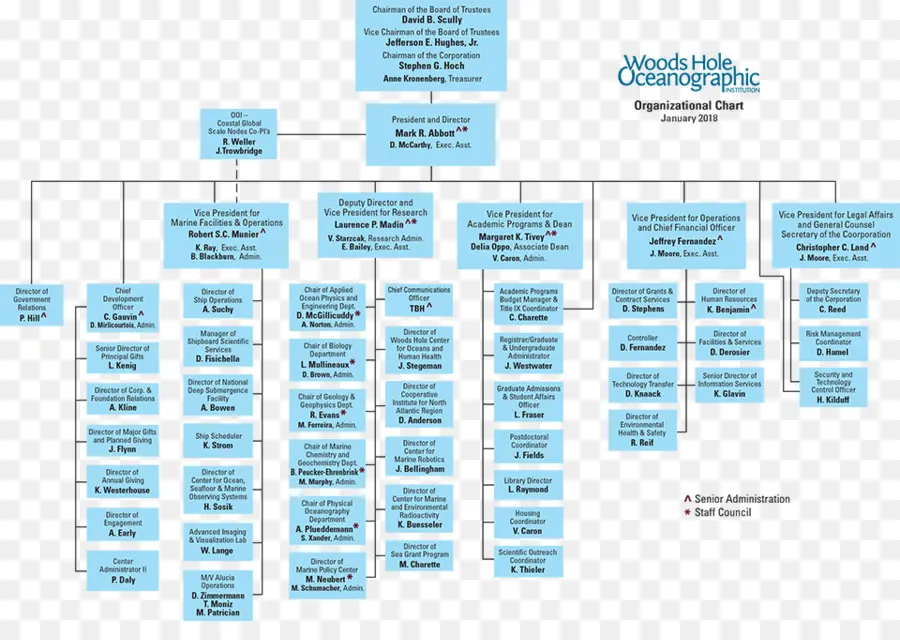 Organigrama，Estructura Organizativa PNG