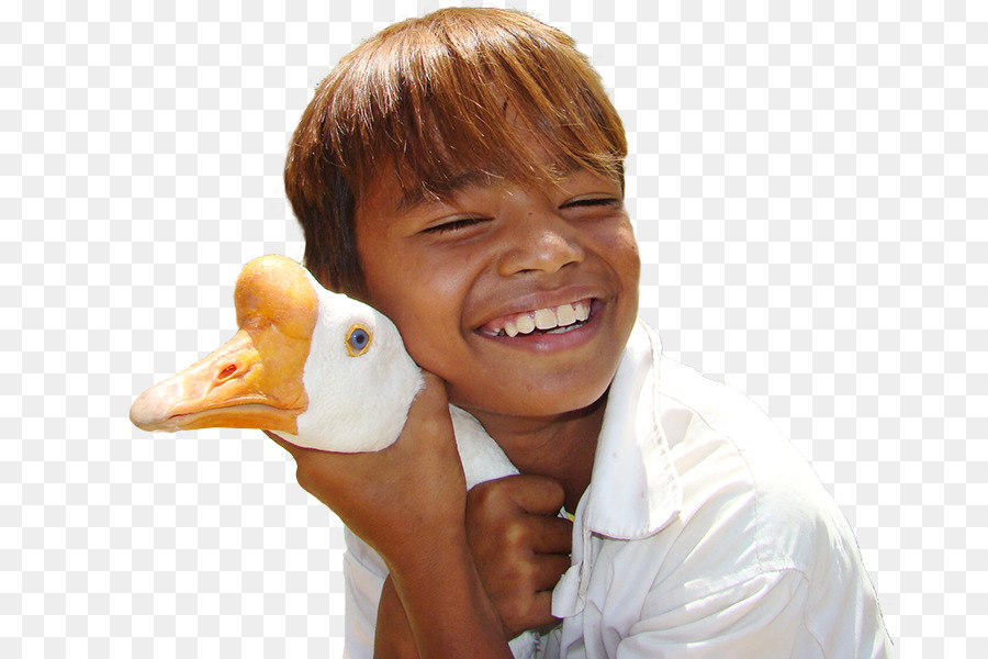 Niño，Pato PNG