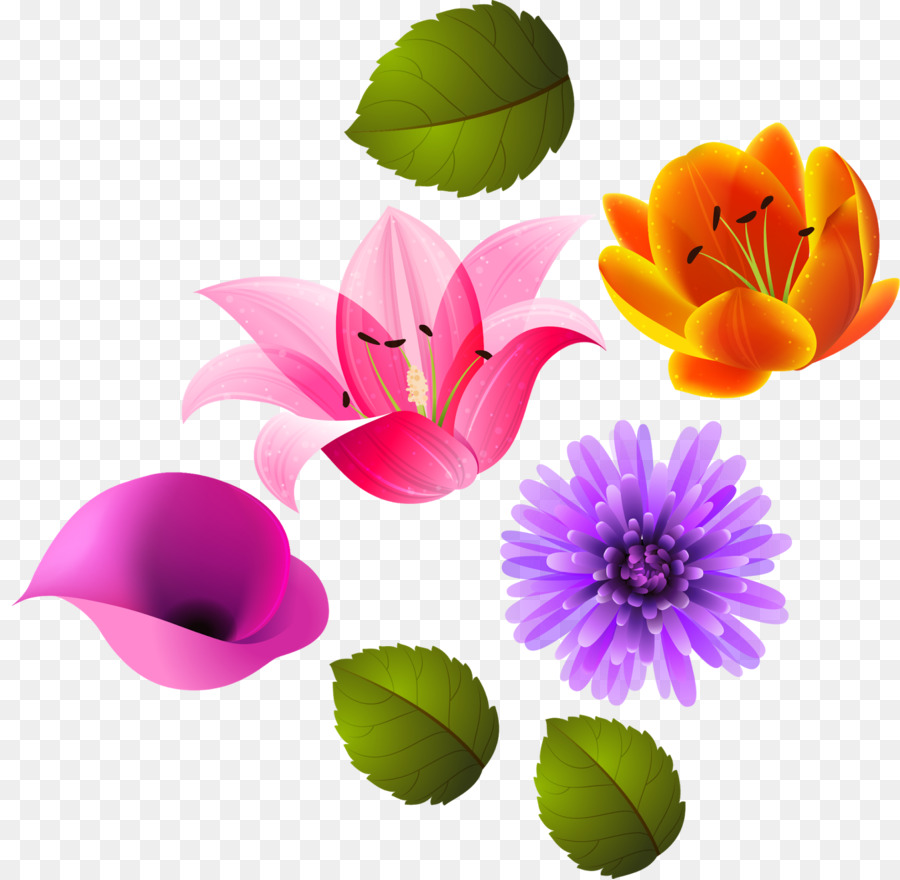 Flor，Lilium PNG