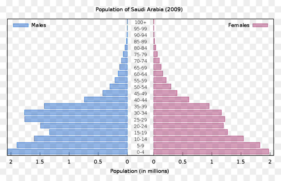 Pirámide De Población，La Población Mundial Perspectivas De La Revisión De 2008 PNG