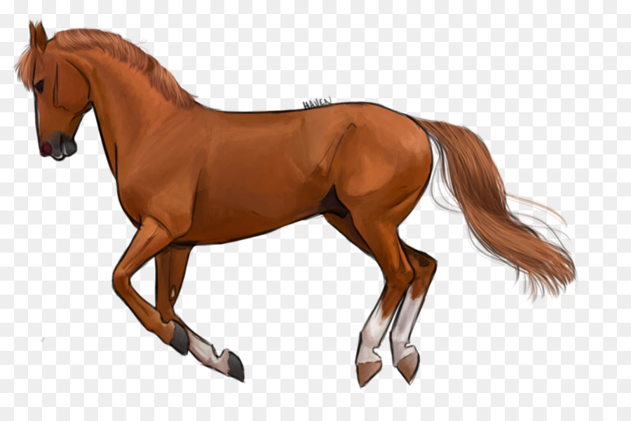 Caballo Corriendo，Animal PNG