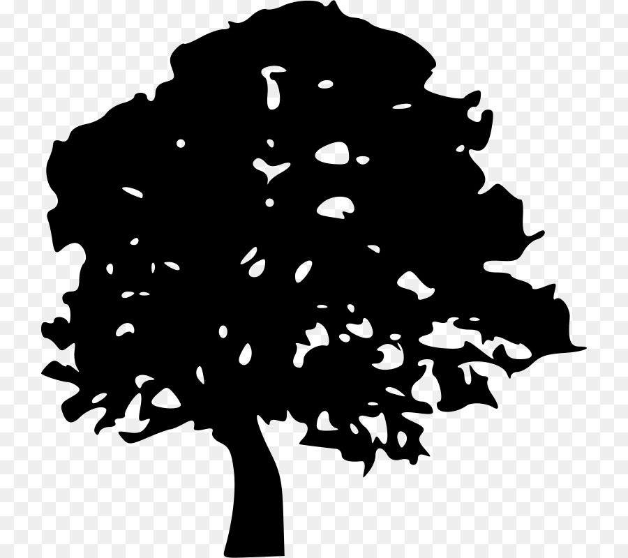 Silueta De Arbol，Planta PNG