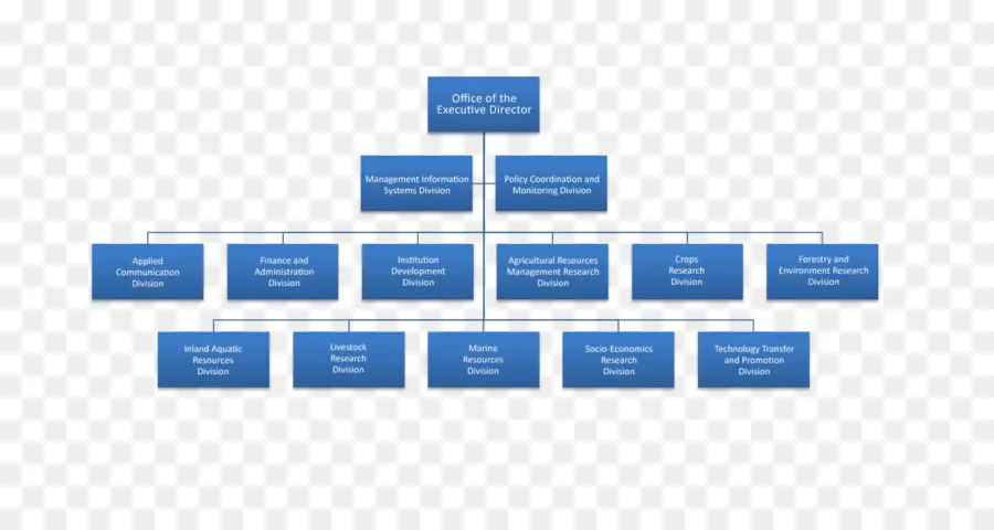 Organigrama，Estructura PNG