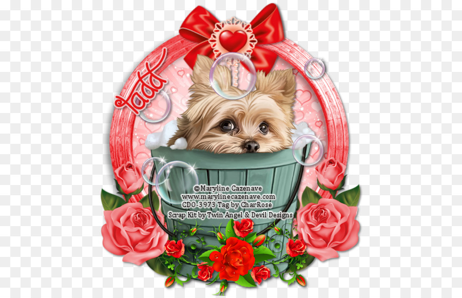 Yorkshire Terrier，El Cairn Terrier PNG