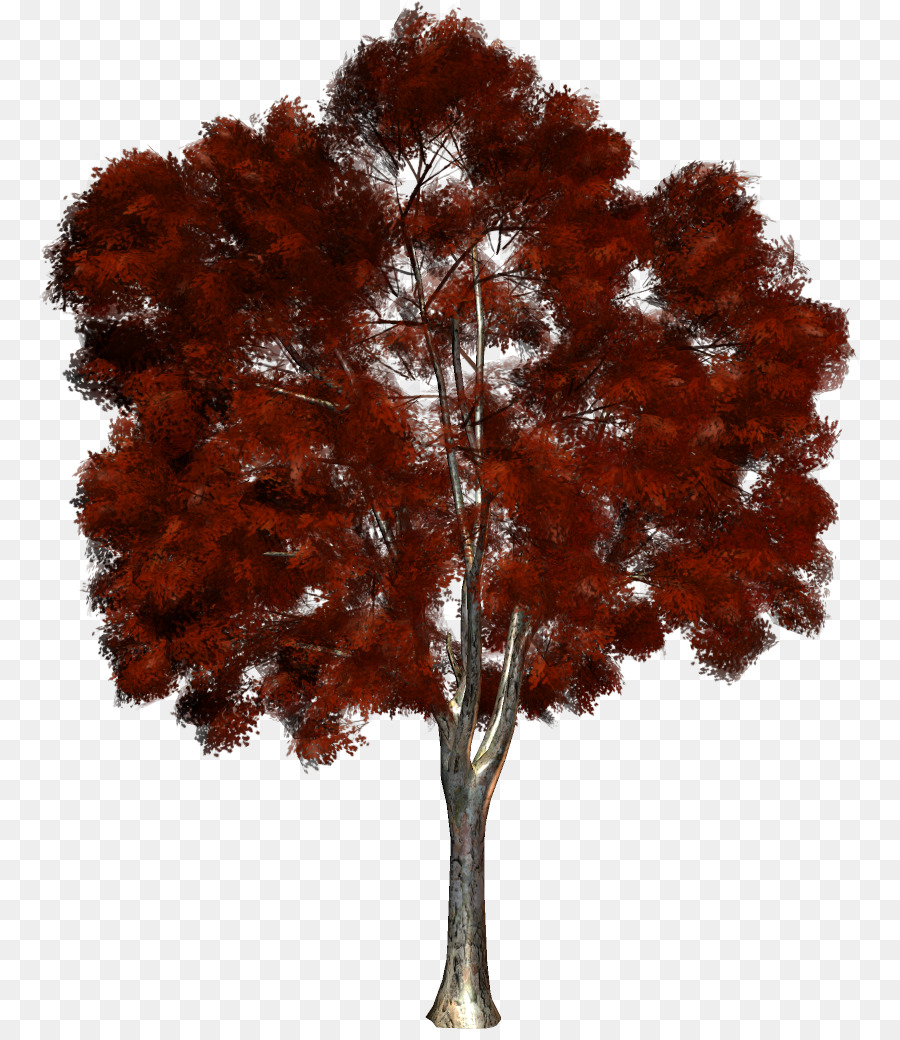 árbol Verde，Hojas PNG