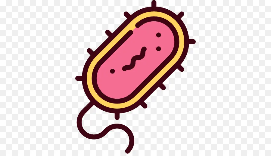 Las Bacterias，Microorganismo PNG