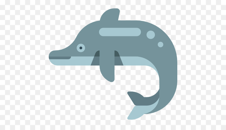 Dolphin，Iconos De Equipo PNG