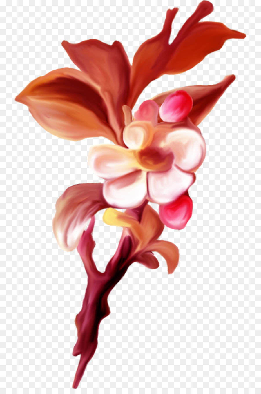 Flor，Pétalo PNG