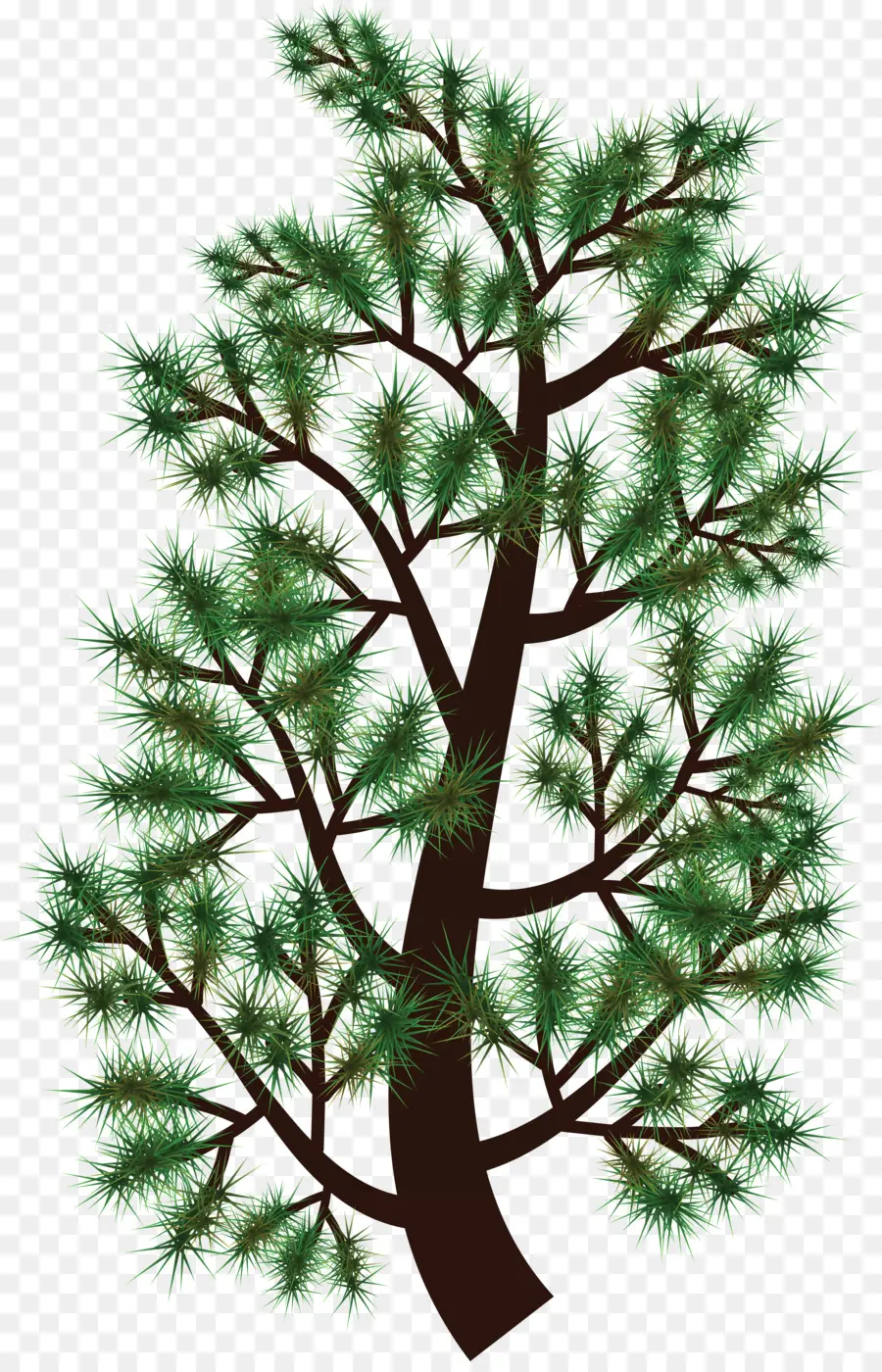 Pino，árbol PNG