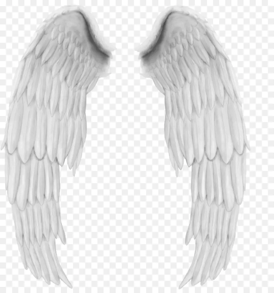 Alas De ángel，Blanco PNG