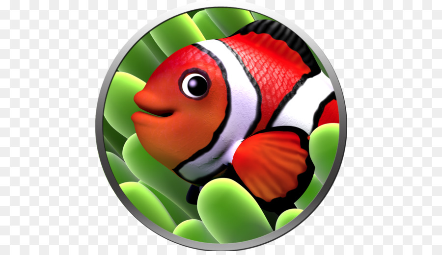 Los Peces Paraíso，Apple PNG