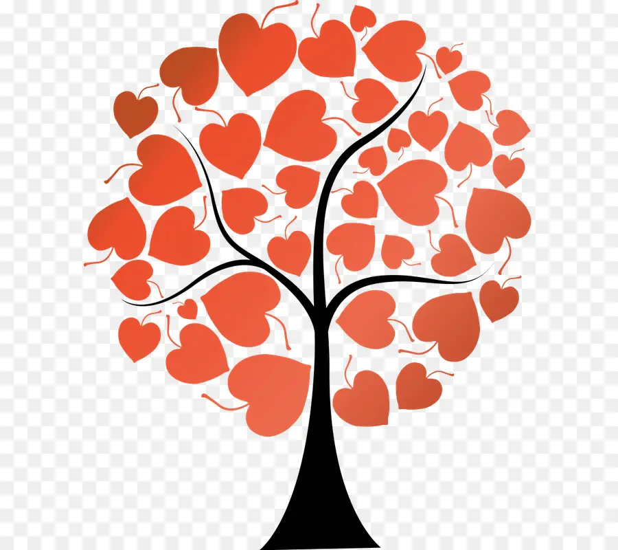 árbol Del Corazón，Amar PNG