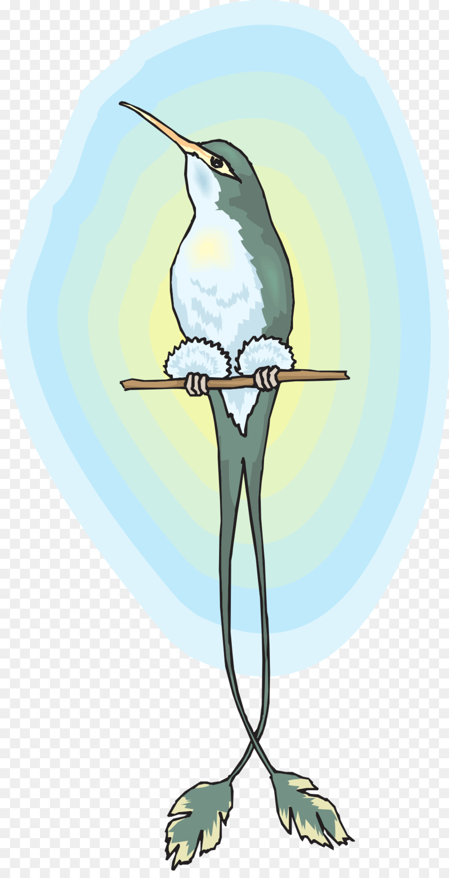 Pájaro，Colibrí PNG