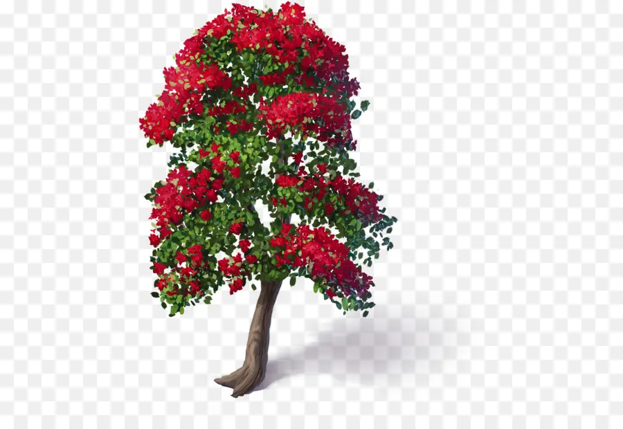 árbol Floreciente，Naturaleza PNG