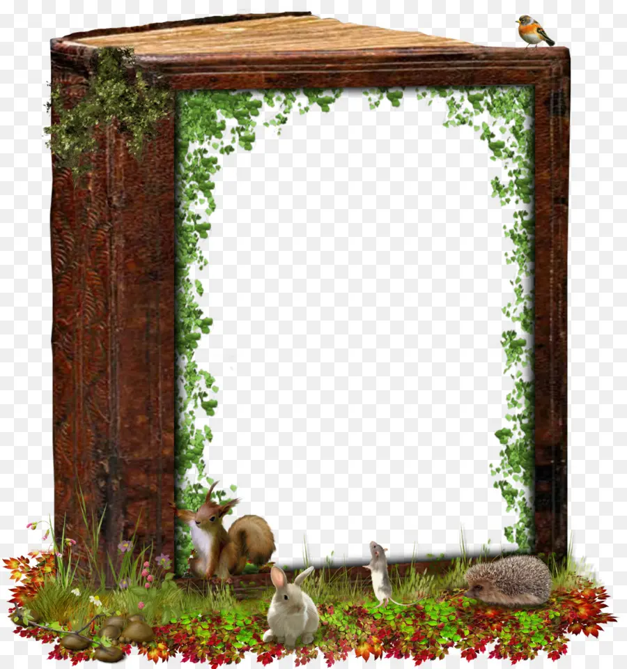 Marcos De Imagen，Ventana PNG