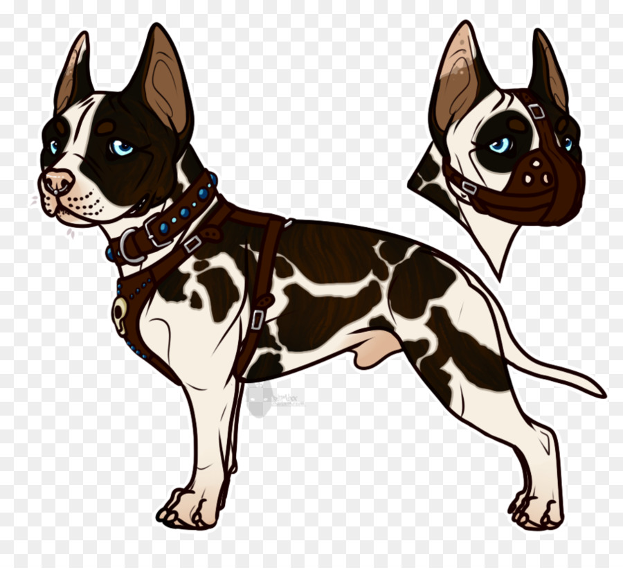 Boston Terrier，Bigotes PNG